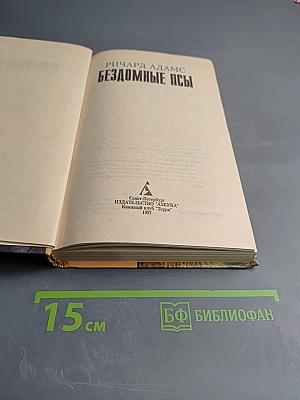 Бездомные псы