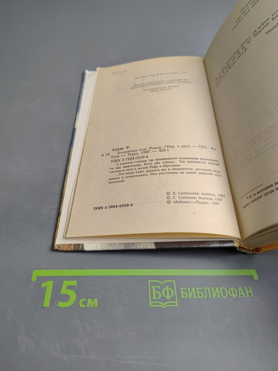 Бездомные псы