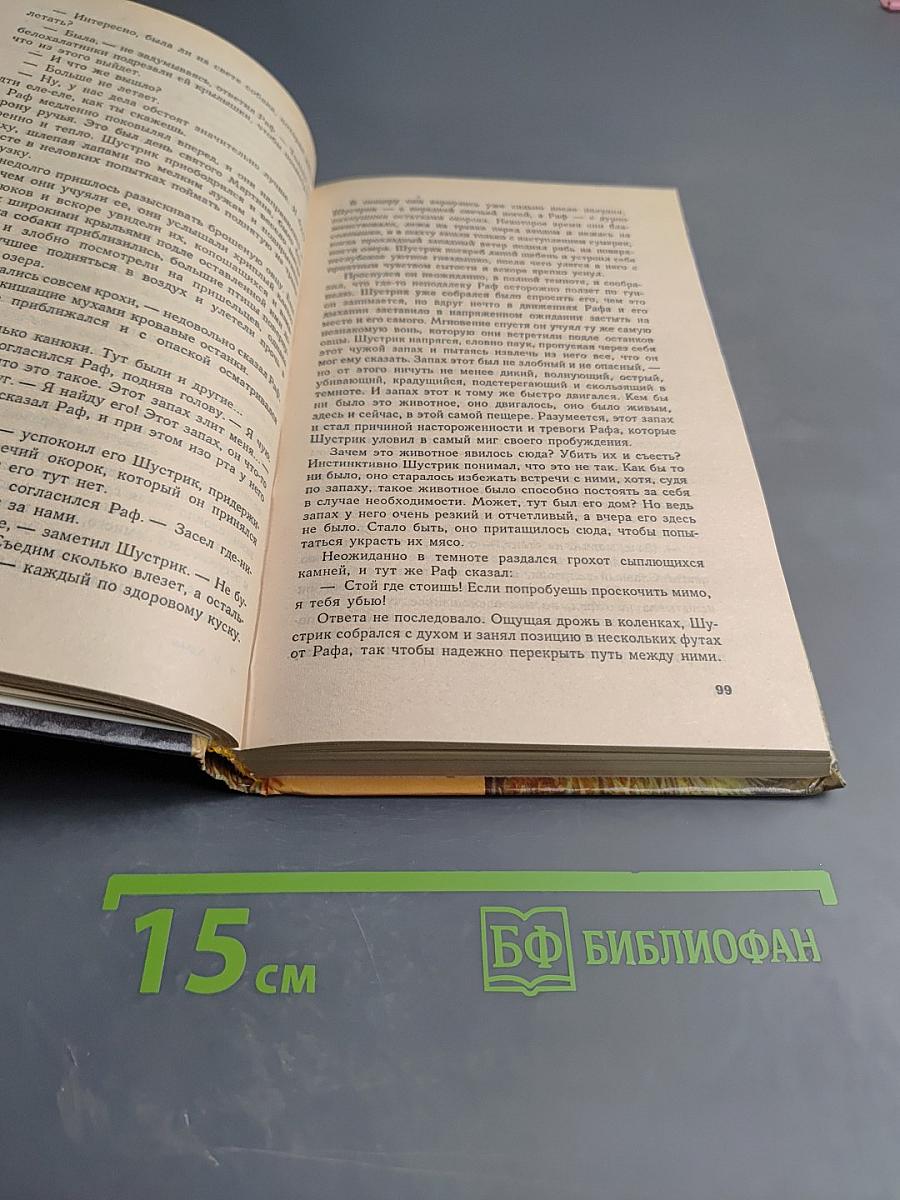 Бездомные псы