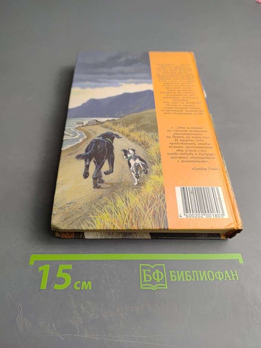 Бездомные псы