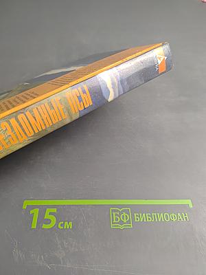 Бездомные псы