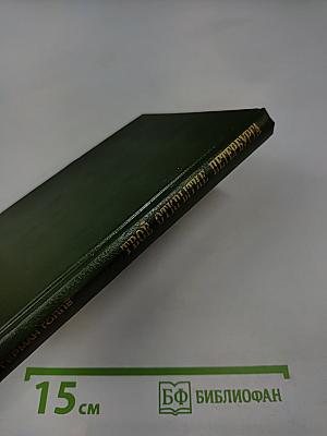 Твоё открытие Петербурга