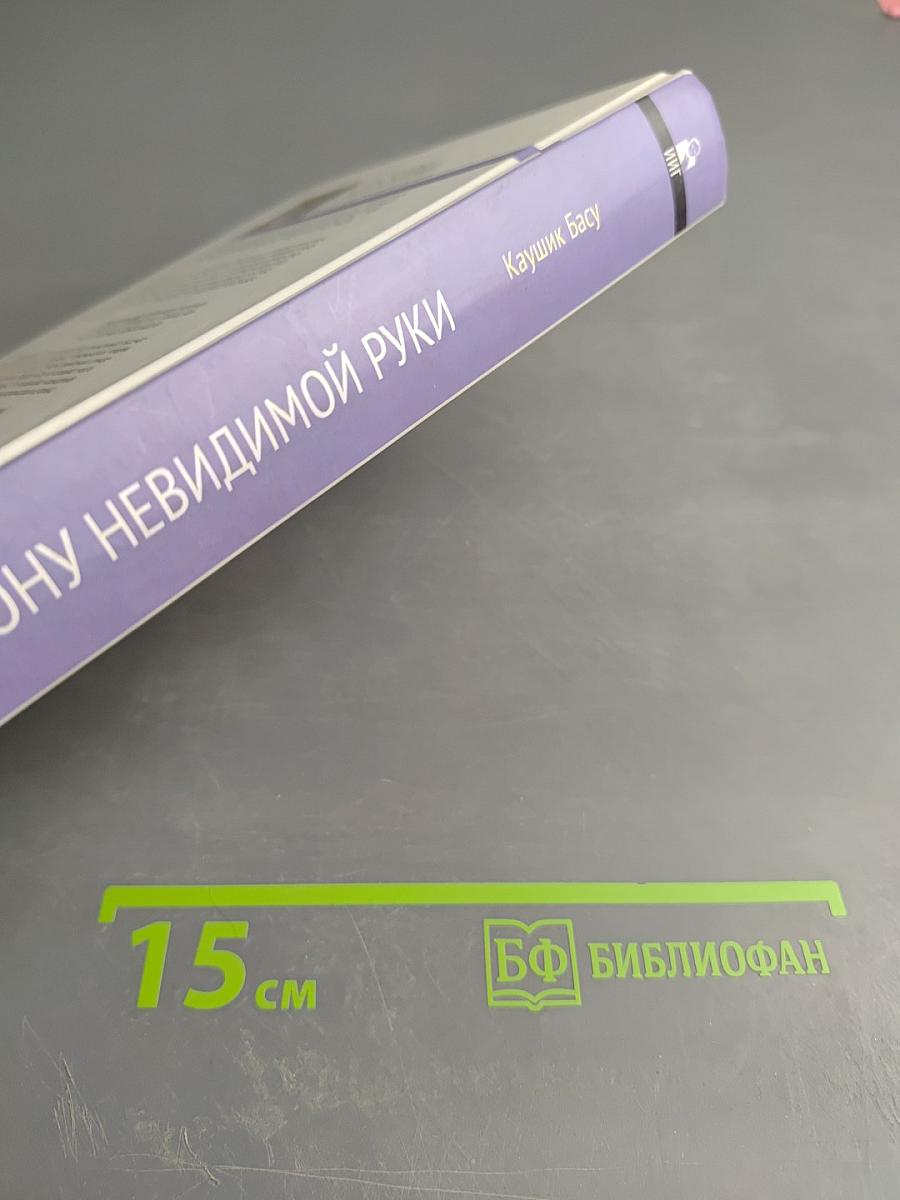 По ту сторону невидимой руки. Основания новой экономической науки