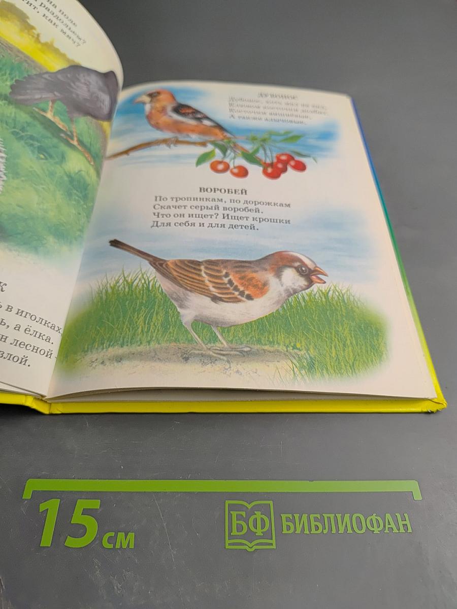 Учебник для малышей. Атлас животного мира