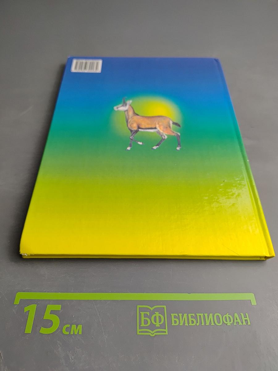 Учебник для малышей. Атлас животного мира