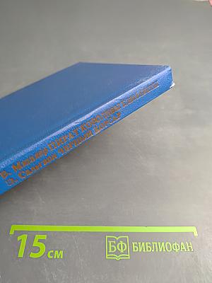 Пираты королевы Елизаветы. Черный Корсар