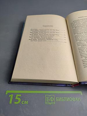 Невинная Настя или Сто первых мужчин