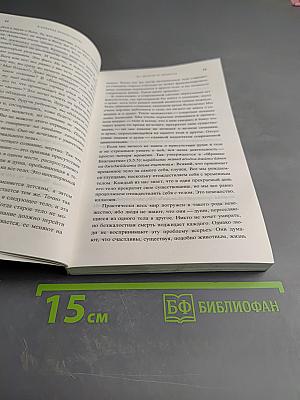 В поисках просветления