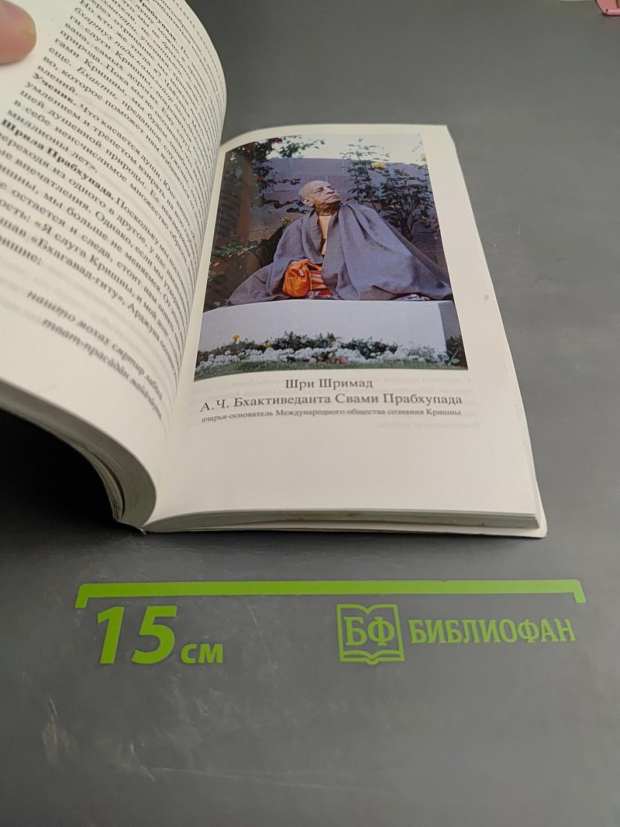 В поисках просветления