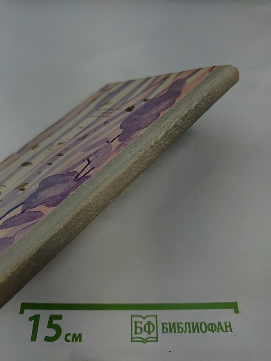 Берестяная грамота