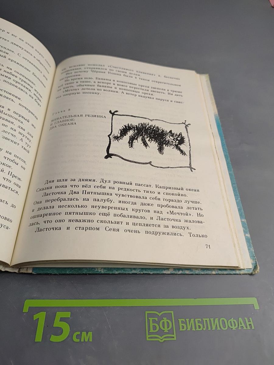 Капитан Тин Тиныч