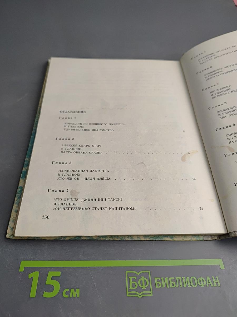 Капитан Тин Тиныч