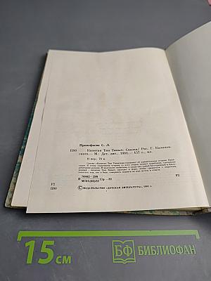 Капитан Тин Тиныч