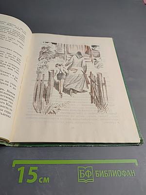 Оруженосец Кашка