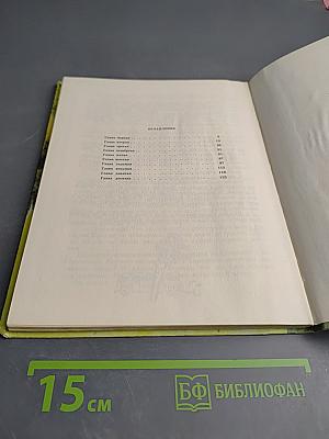 Оруженосец Кашка