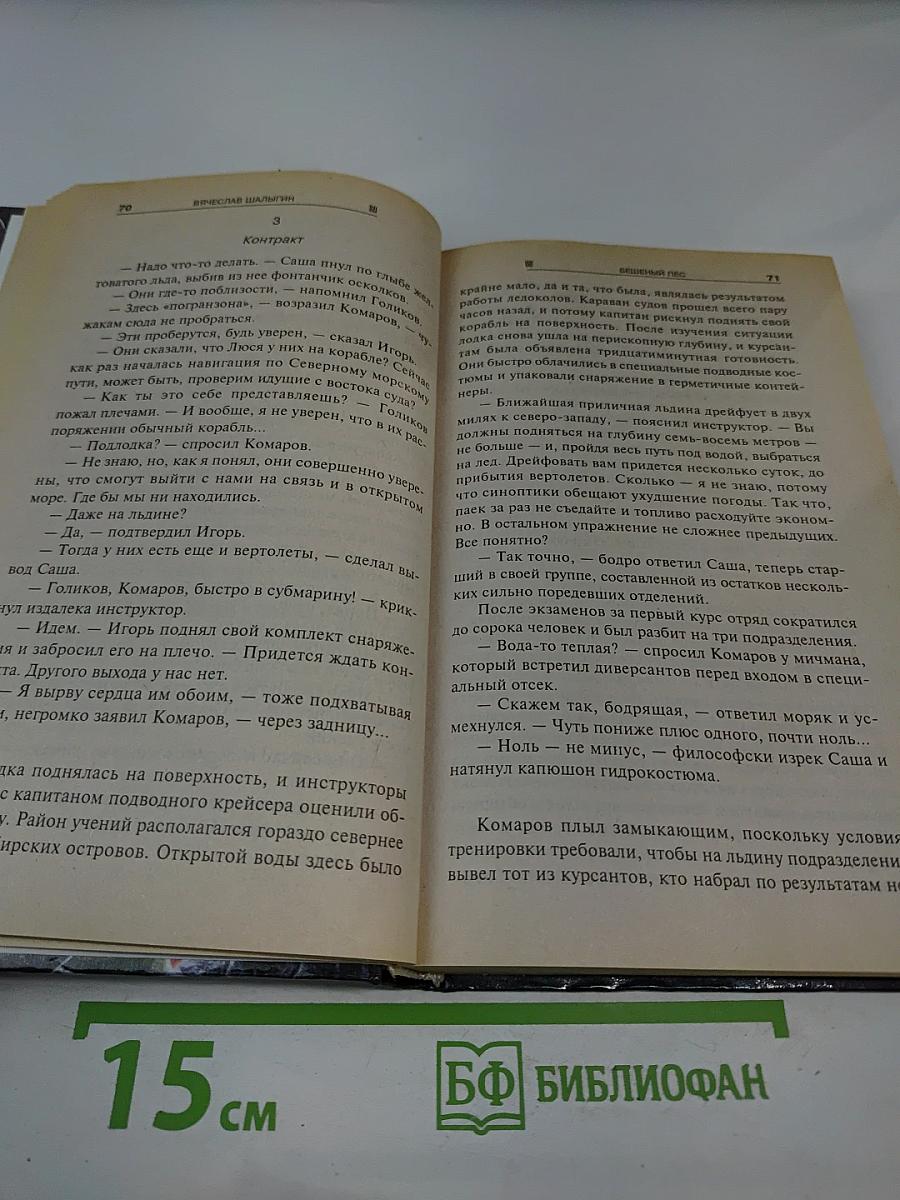 Бешеный Пес