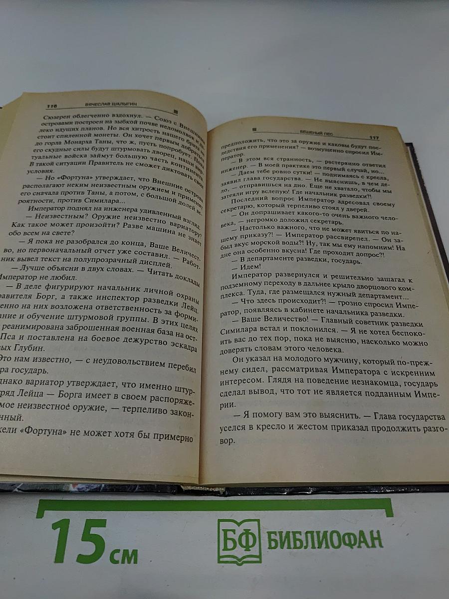 Бешеный Пес