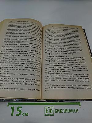 Бешеный Пес