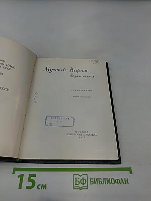 Годам вослед