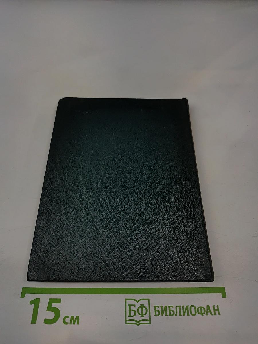 Годам вослед