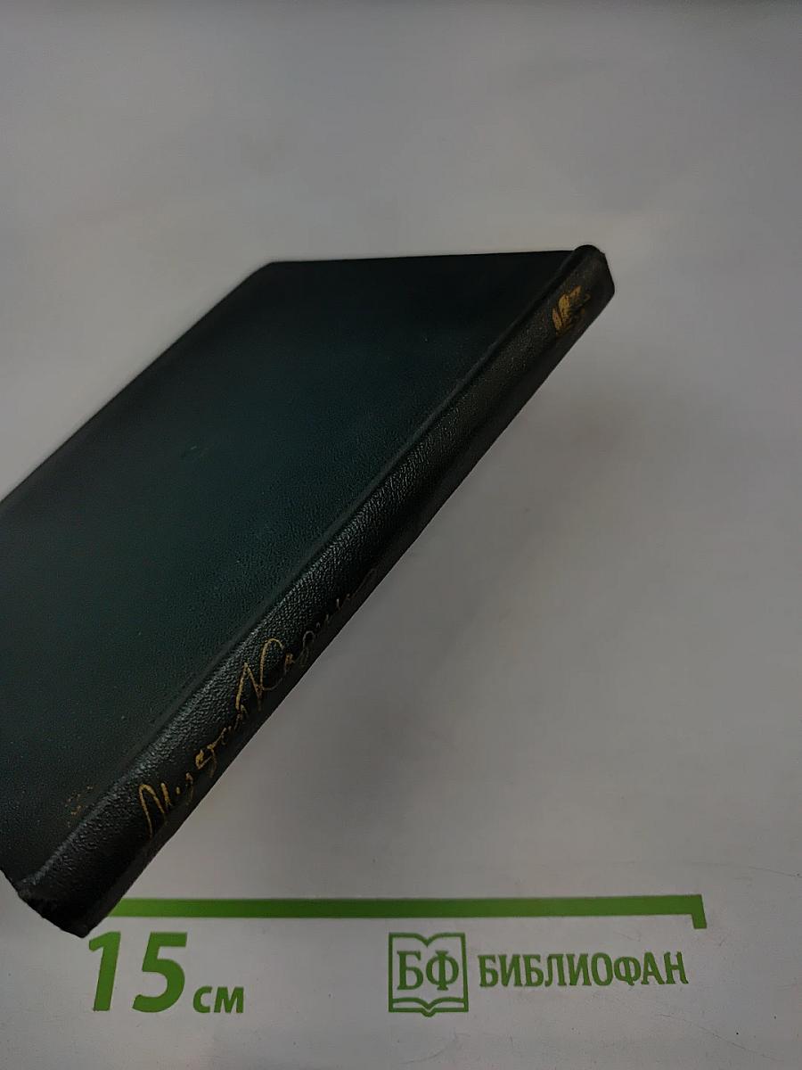 Годам вослед