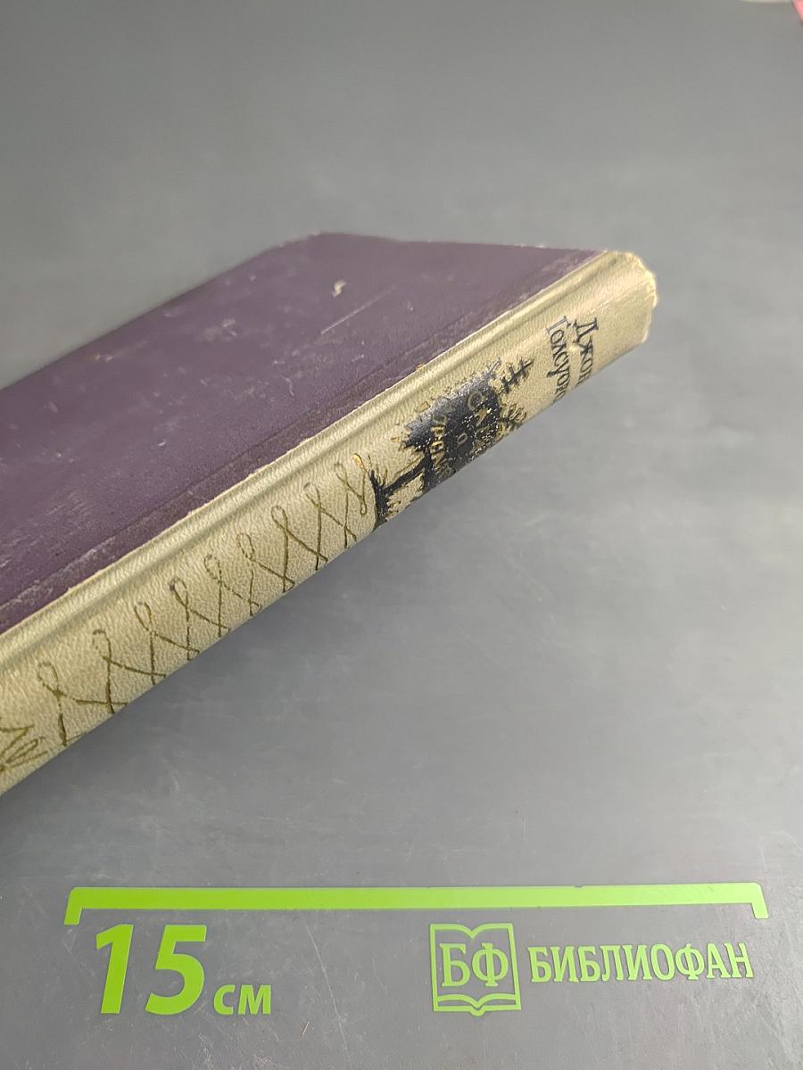 Сага о Форсайтах. Том IV. Современная комедия: Встречи. Лебединая песня