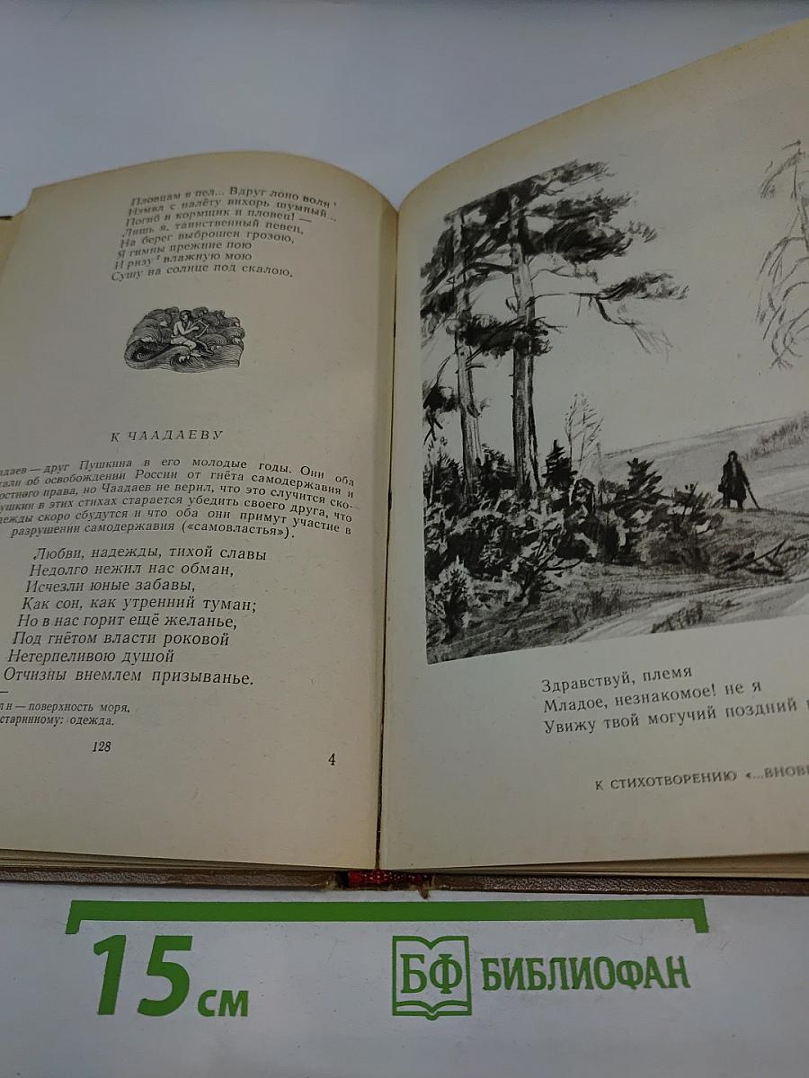 А. С. Пушкин. Избранные произведения