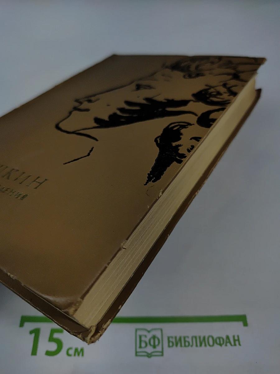 А. С. Пушкин. Избранные произведения