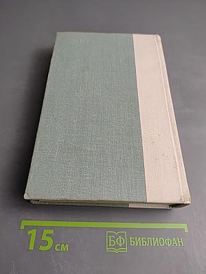 Западноевропейская лирика