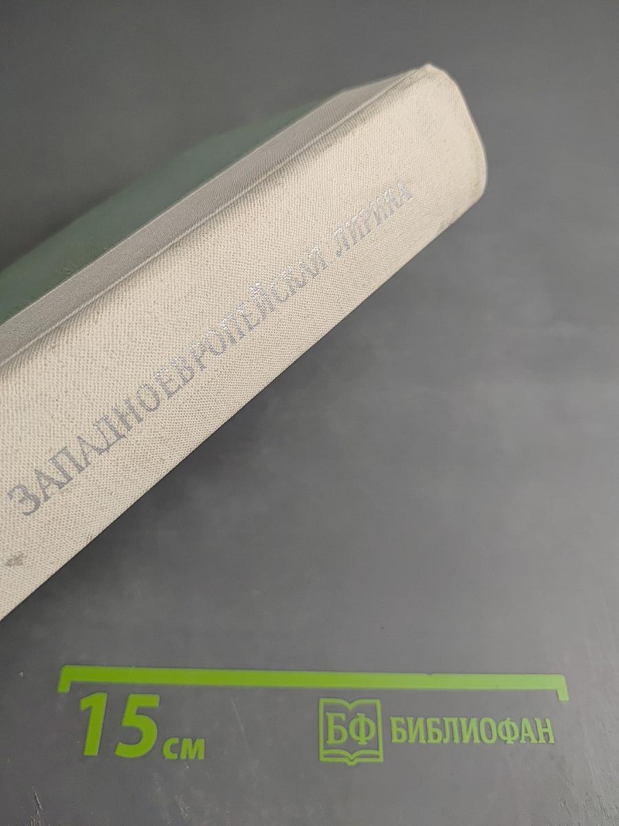 Западноевропейская лирика