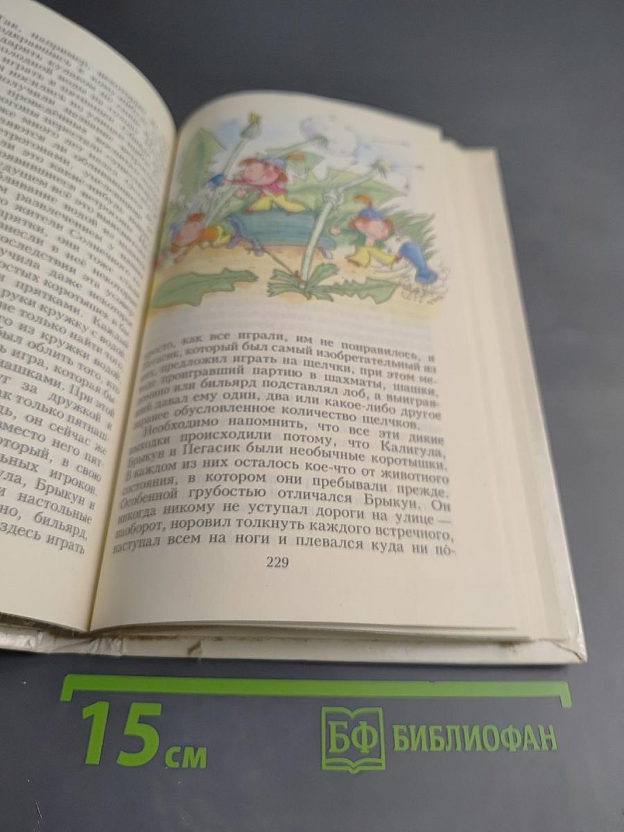 Незнайка в Солнечном городе