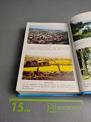 Детская Библия. Библейские рассказы в картинках