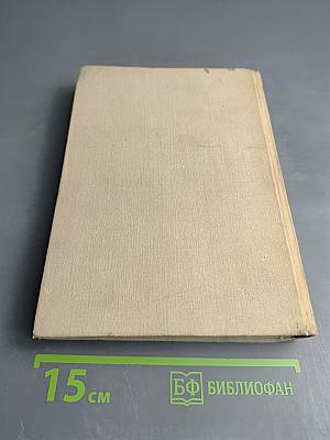 Узники Петропавловской крепости