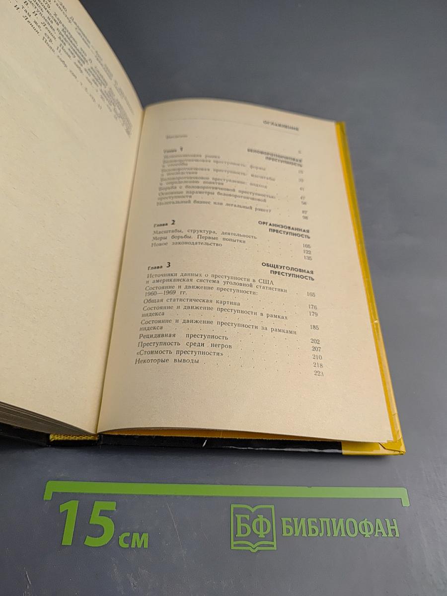 США: Преступность и политика