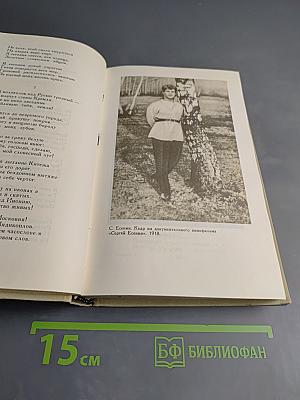 Сергей Есенин. Собрание сочинений в трех томах. Том 2