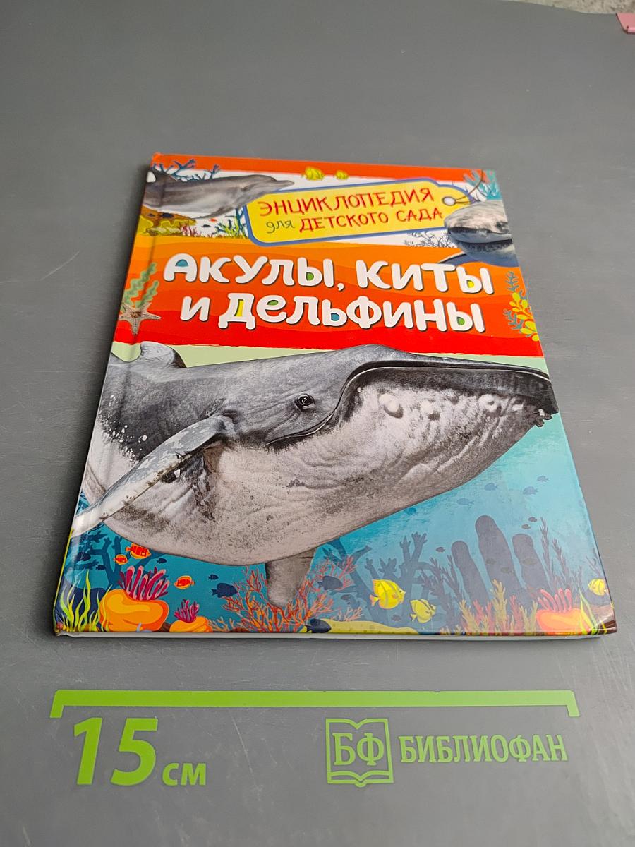 Энциклопедия для детского сада. Акулы, киты и дельфины
