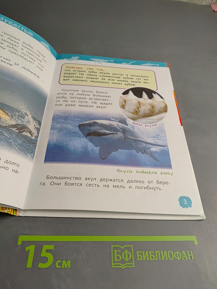 Энциклопедия для детского сада. Акулы, киты и дельфины