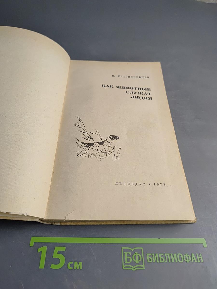 Как животные служат людям