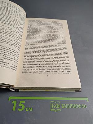Общество без будущего. Заметки публициста