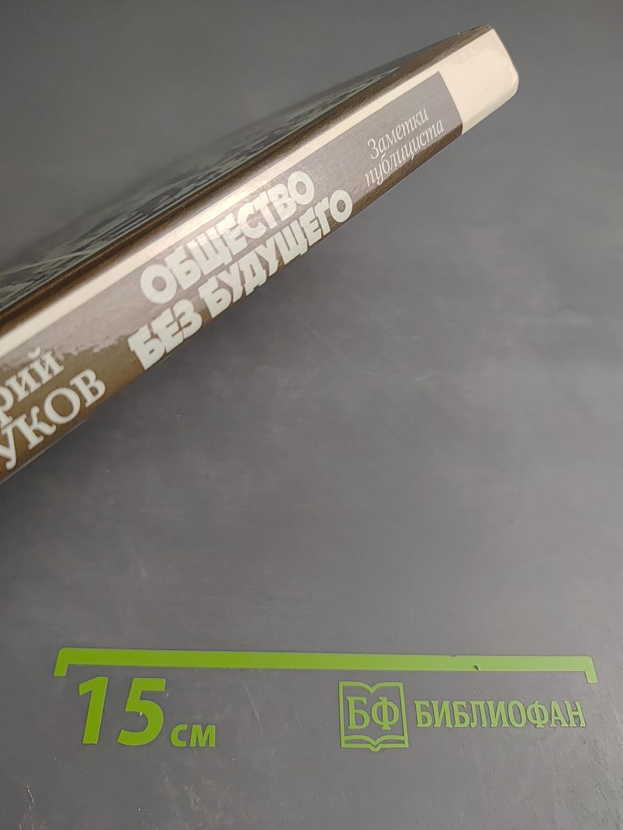 Общество без будущего. Заметки публициста