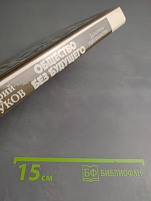 Общество без будущего. Заметки публициста