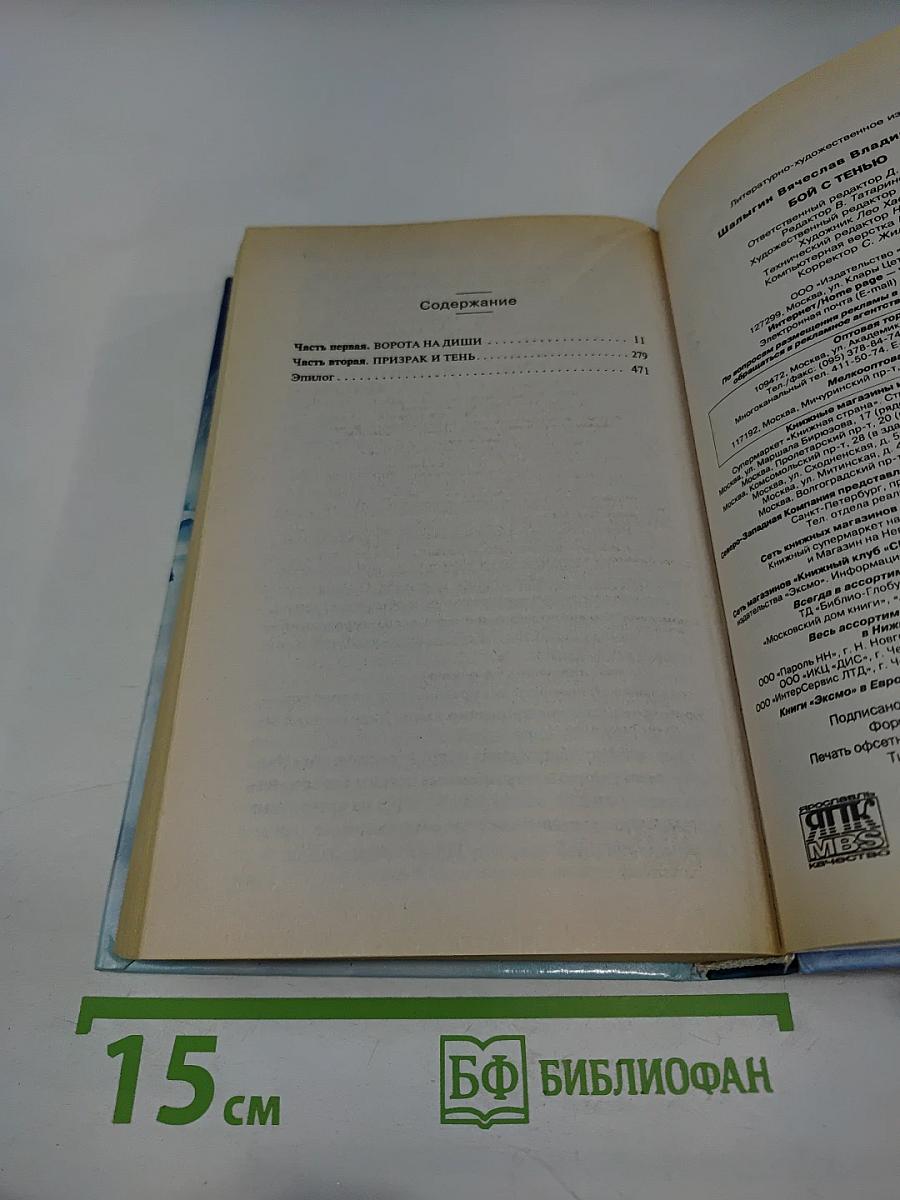 Бой с тенью