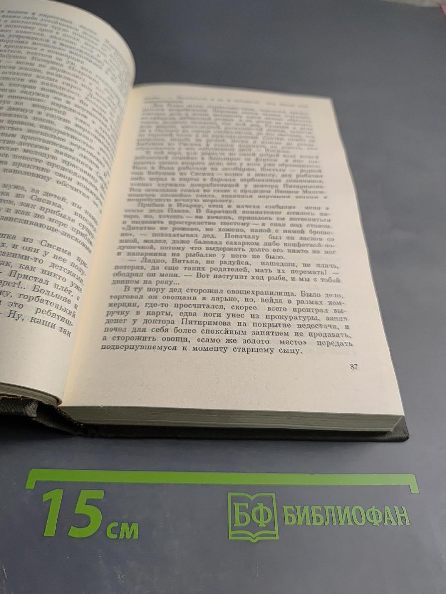 Мальчик в белой рубахе. Повести