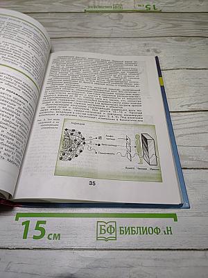 Основы безопасности жизнедеятельности 10 класс