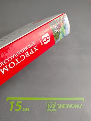 Хрестоматия для внеклассного чтения 8 класс