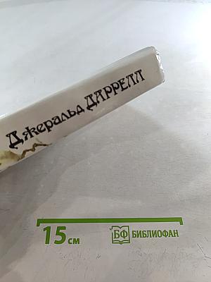 Под пологом пьяного леса