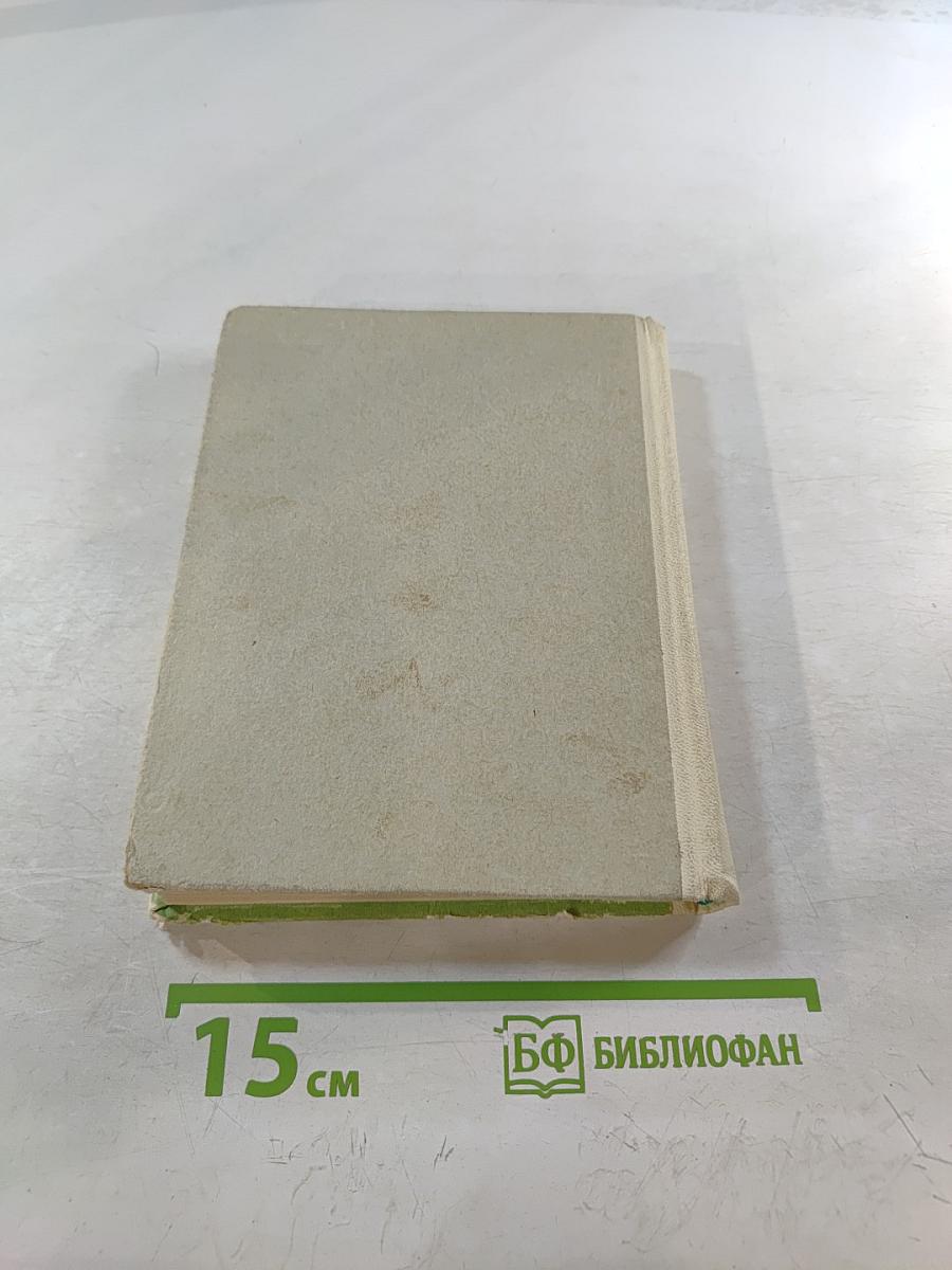 Улицы пригородов Ленинграда (Гатчина, Колпино, Ломоносов, Павловск, Петергоф, Пушкин)