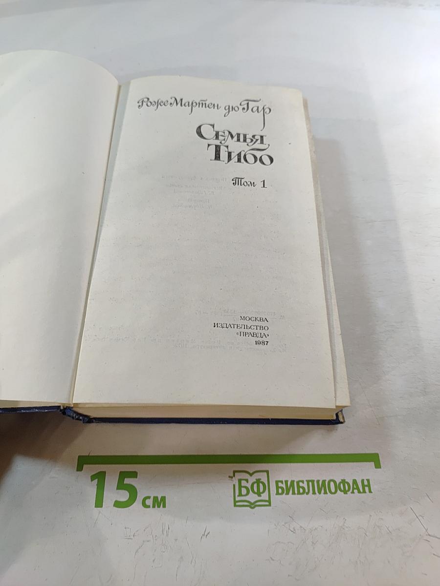 Семья Тибо. Том 1