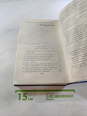 Семья Тибо. Том 1