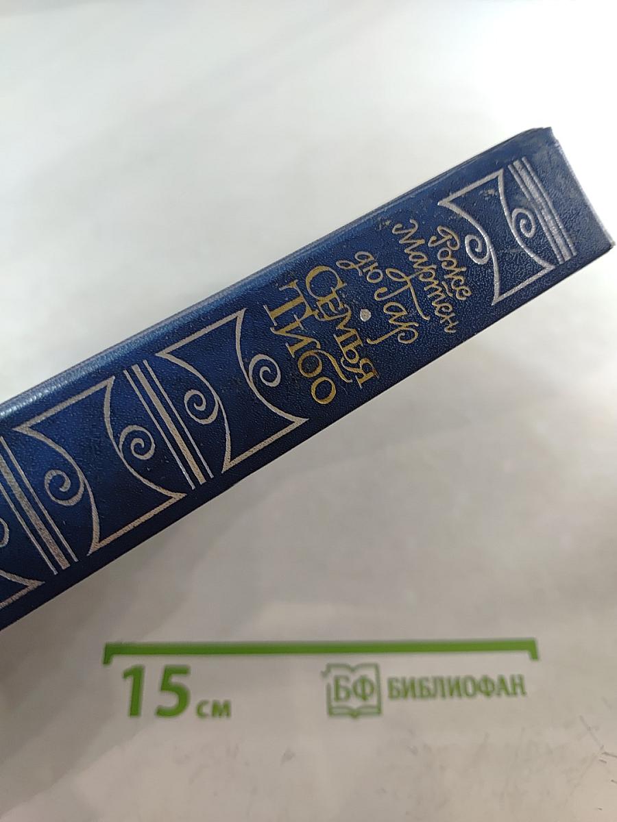 Семья Тибо. Том 1